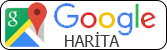 Google Harita